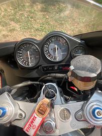 Yamaha YZF600R Thundercat - 600cc Sportiva