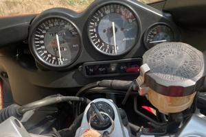 Yamaha YZF600R Thundercat - 600cc Sportiva