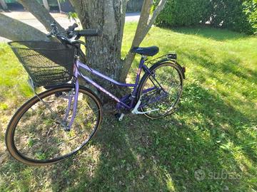 City bike da donna viola