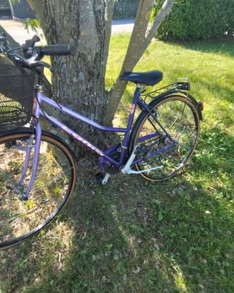 City bike da donna viola