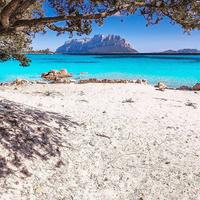 Appartamento - Olbia Rif: 1088-324