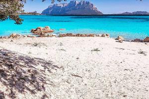 Appartamento - Olbia Rif: 1088-324