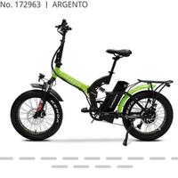 Bicicletta pedalata assistita