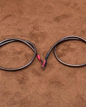 Cavo Cardas Hexlink Golden 5C