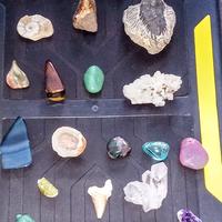 Minerali,fossili e altro