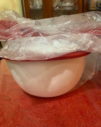 Tupperware Warmie-Tup Contenitore Termico 3,2L / C