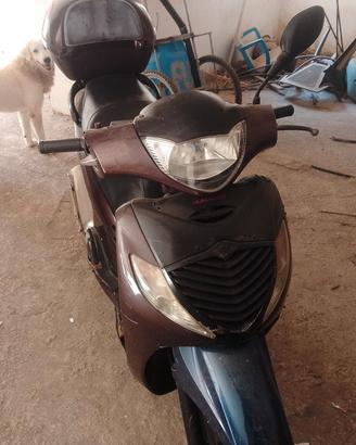 sh 125 