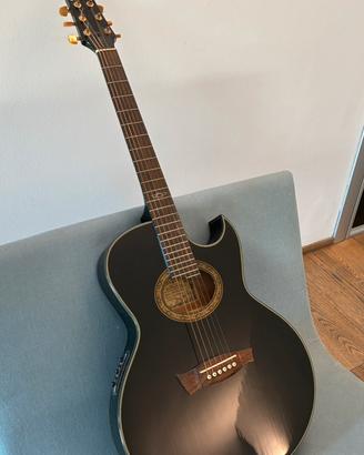 Ibanez Euphoria EP5-BP Steve Vai Signature