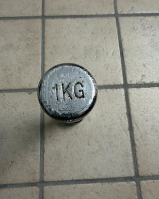 Manubrio palestra 1 kg