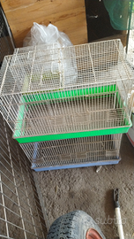 Gabbie con fondo in plastica