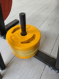 Set palestra completo di pesi manubri e portapesi