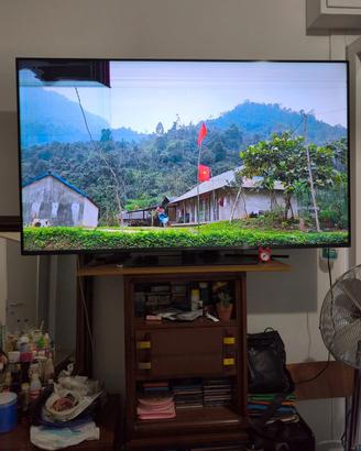smart TV Panasonic 65" 4k pollici 