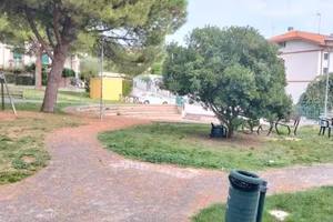 Attività / Licenza di 130 m² a Misano Adriatico