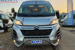 ROBETA APOLLO ( 2024 )