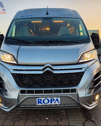 ROBETA APOLLO ( 2024 )