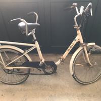 Bibici