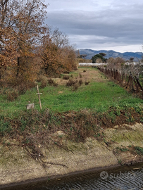 Terreno agricolo - 9.000 mq