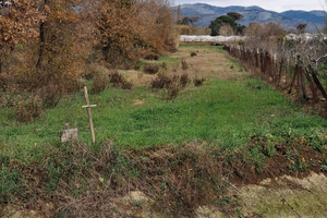 Terreno agricolo - 9.000 mq