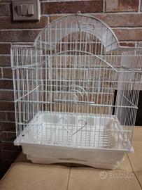 gabbietta per uccellini 