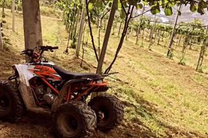 quad 160