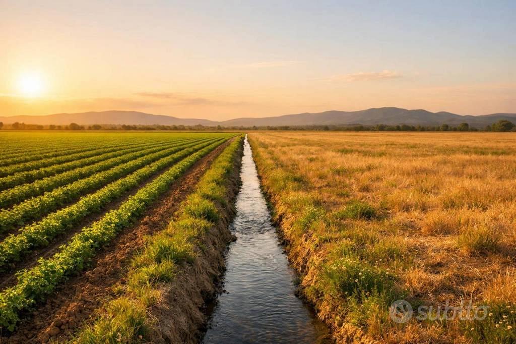 Immobile in asta di 27088 m² a Conversano - Vista 5