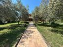 villa-singola-a-bellaria-igea-marina