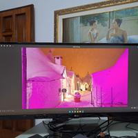 Monitor ultrawide LG 34'' o widescreen