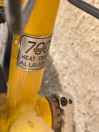 Bicicletta da corsa pinarello