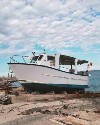 Barca da pesca con licenza no removelica