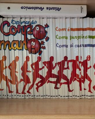 Enciclopedia completa Esplorando il Corpo Umano