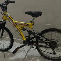 mountain bike Olympia