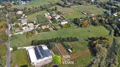Latina - Terreno agricolo di 1,5 ettari | TR303