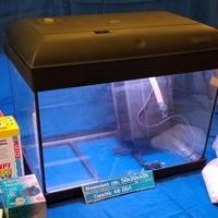 acquario