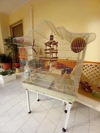 gabbia per volatili 