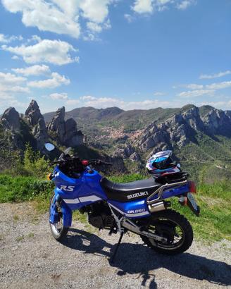 Suzuki DR 650