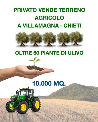 Terreno agricolo con ulivi