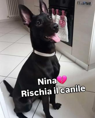 Nina
