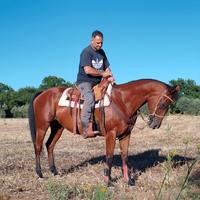 Cavallo Appendix