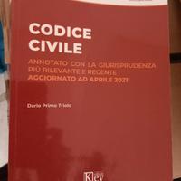 Codice civile annotato con la giurisprudenza