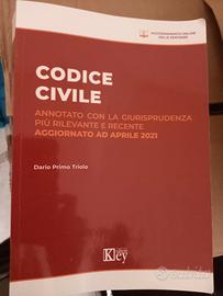 Codice civile annotato con la giurisprudenza
