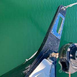 delfiniera in carbonio