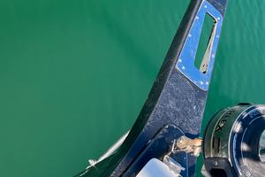 delfiniera in carbonio