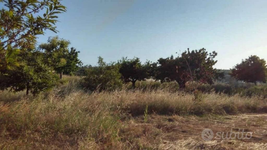 Immobile in asta di 5430 m² a Luzzi - Vista 3
