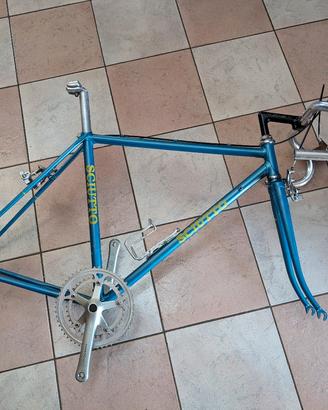 telaio Sciutto Campagnolo, custom