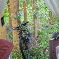 Scott aspect 29” M