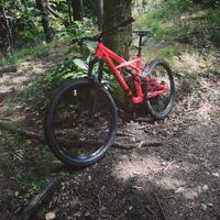 Specialized enduro tg L