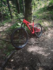 Specialized enduro tg L