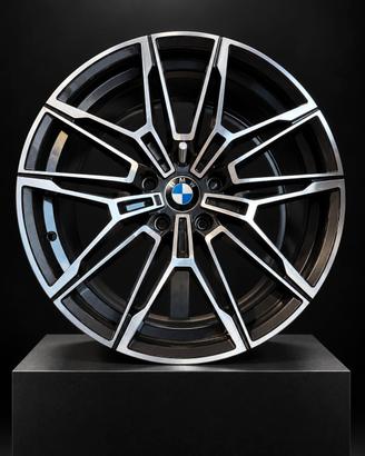 CERCHI IN LEGA BMW POLLICI