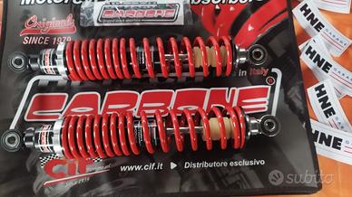 Ammortizzatori carbone