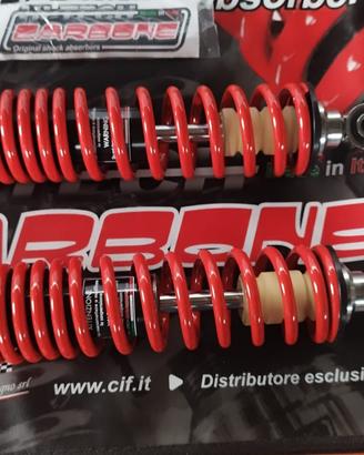 Ammortizzatori carbone